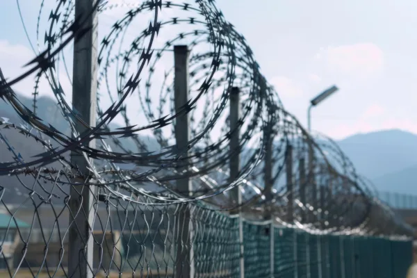 This photo shows a close-up of a barbed wire fence.